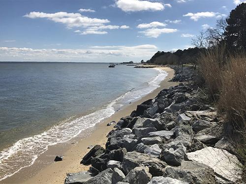 Pet Friendly Point Lookout State Park