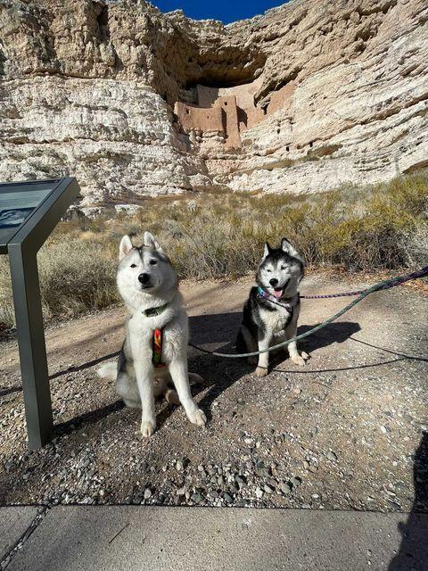 The BARK Ranger Program & Our Visit to Montezuma Castle - Dog Mom Days