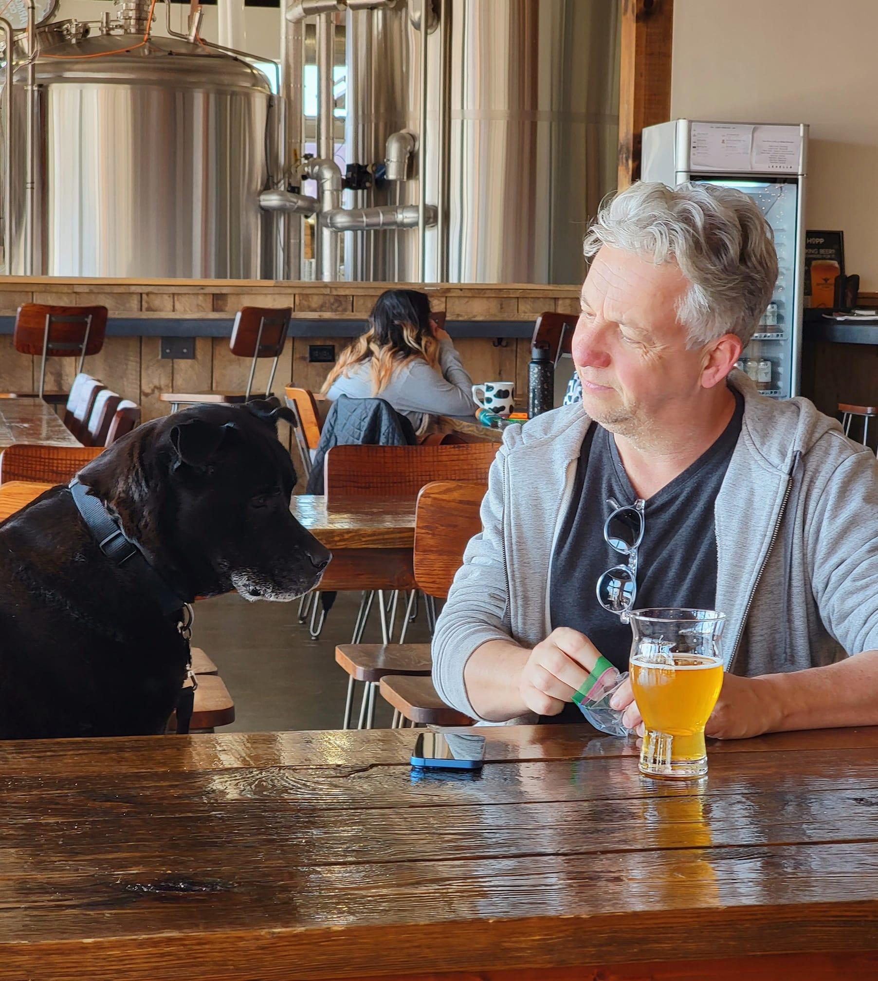 Pet Friendly Armored Cow Brewing Co.