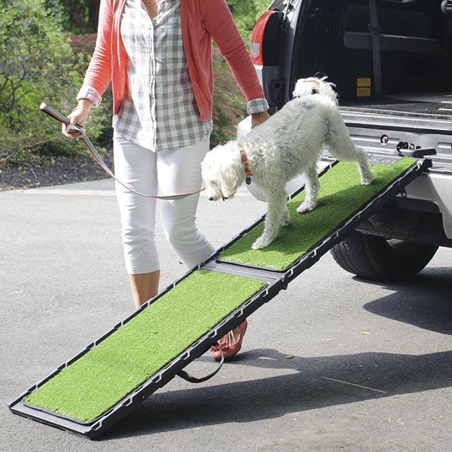 Orvis dog ramp sale