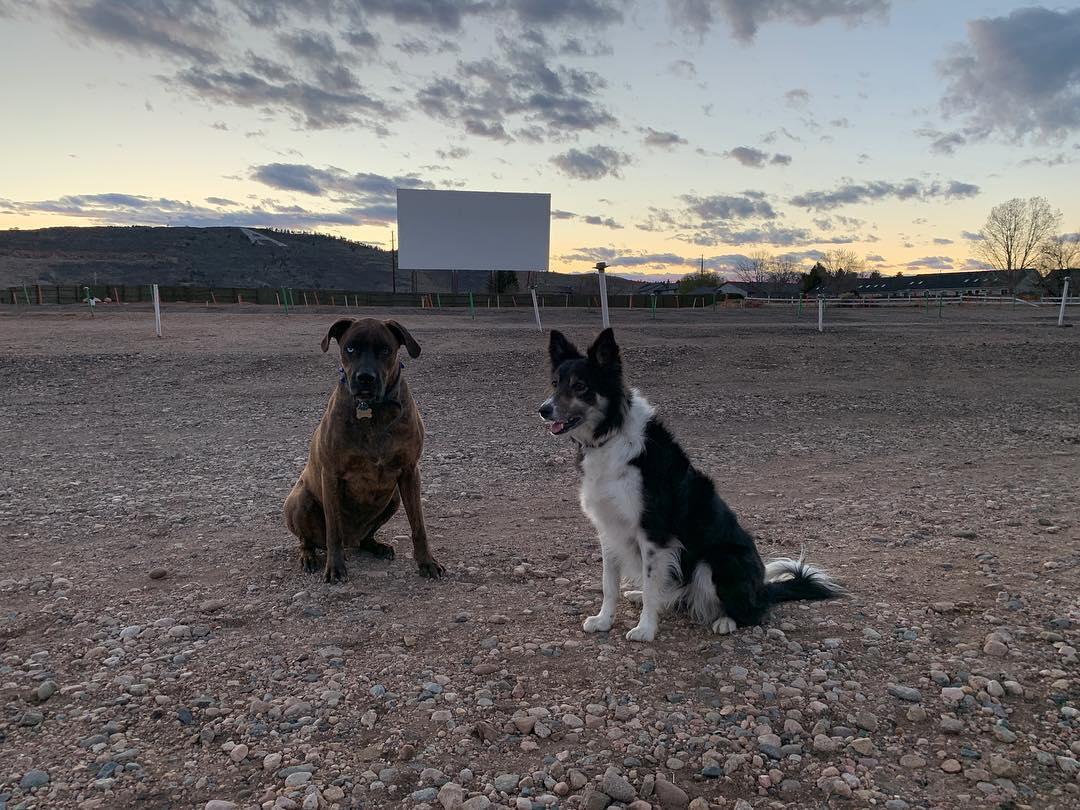 Pet Friendly Holiday Twin Drive-In