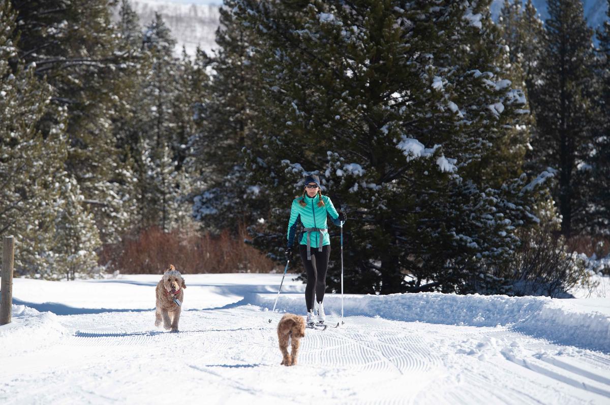 Crested Butte Nordic Center