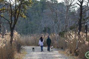 Cattus Island County Park Cattus Island Trail Map