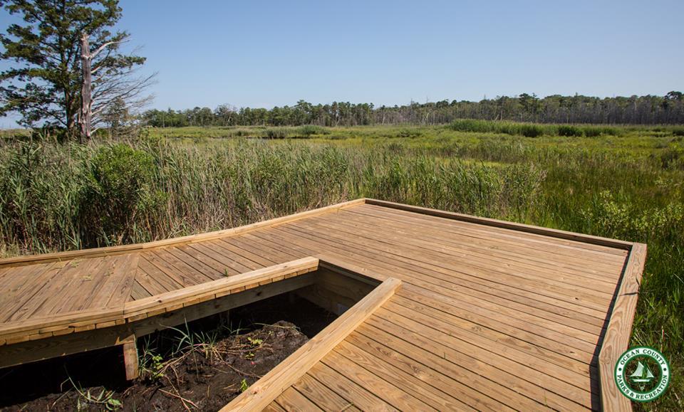 Cattus Island County Park