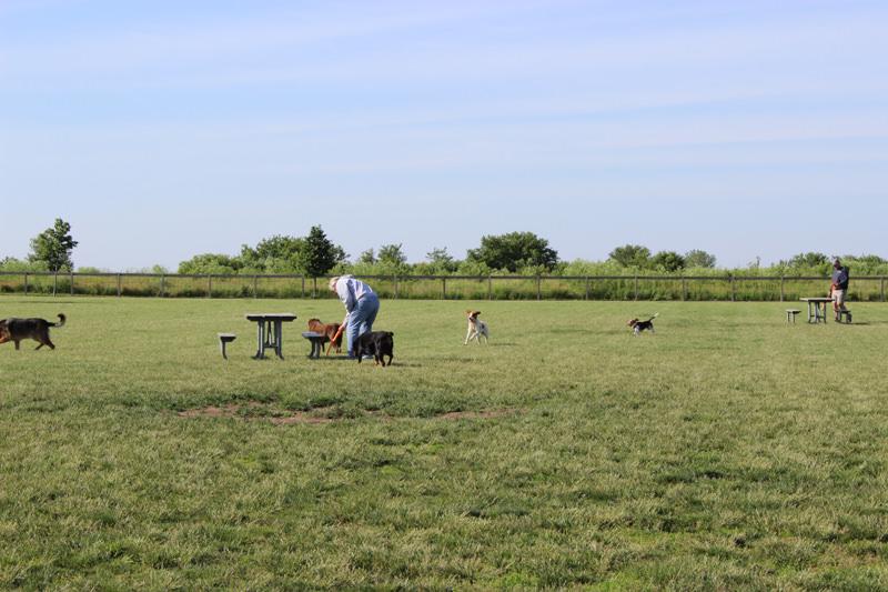 Champaign Bark District Dog Park