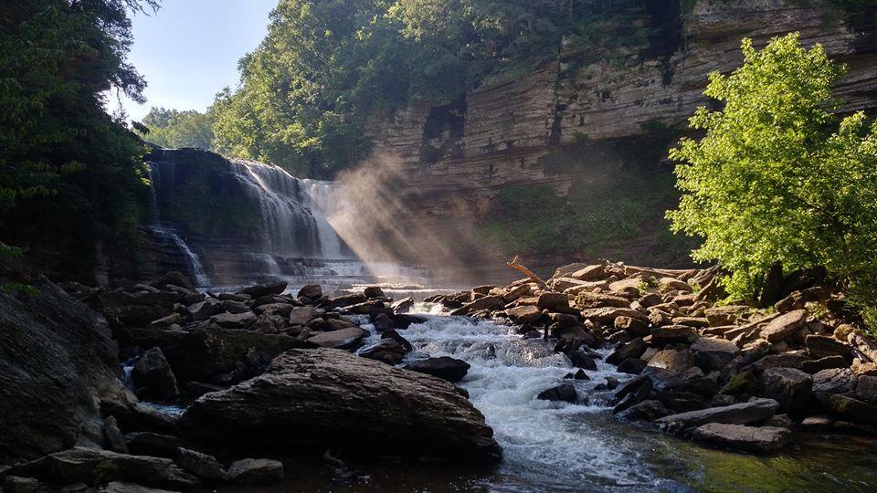 are dogs allowed in cummins falls park