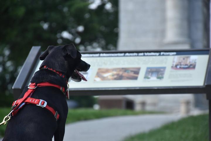 Pet Friendly Valley Forge National Historical Park