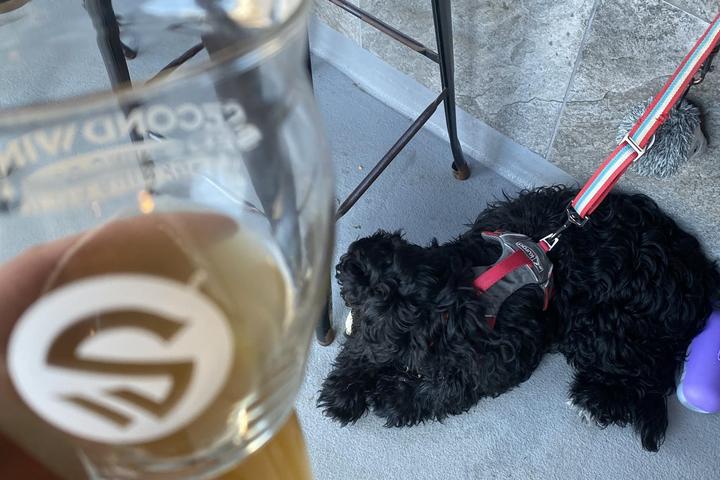 Pet Friendly Second Wind Brewing Company