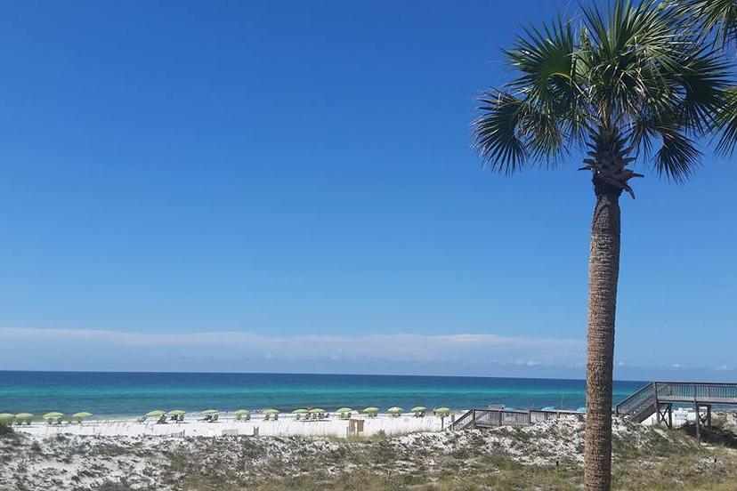 Dog Friendly Beaches in Destin, FL - BringFido