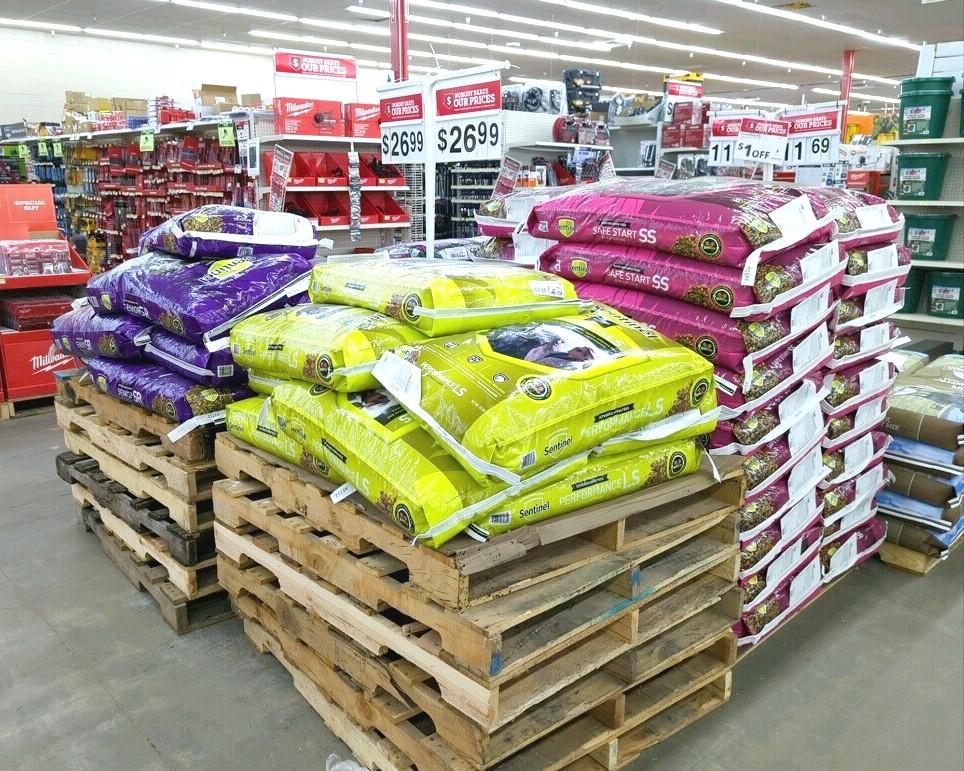 Dog Friendly Shopping in Bloomington IN BringFido