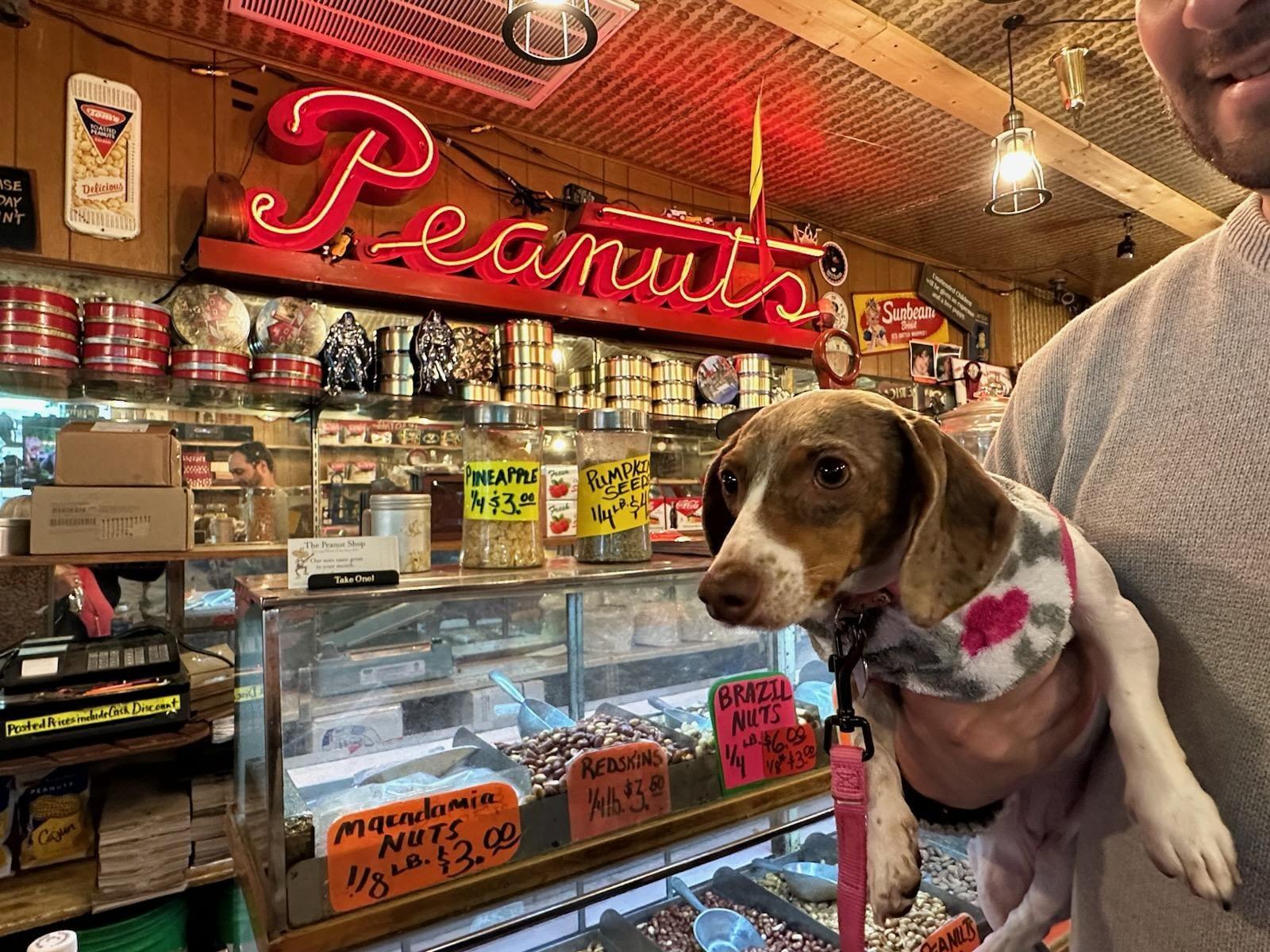Pet Friendly The Peanut Shop