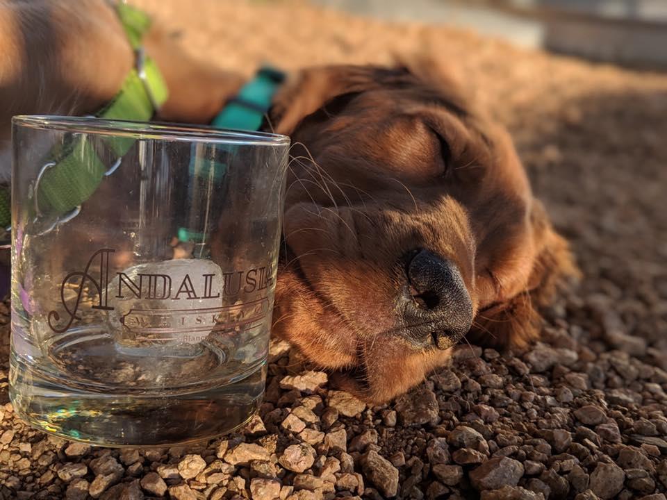 Pet Friendly Andalusia Whiskey Co.