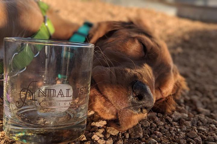 Pet Friendly Andalusia Whiskey Co.