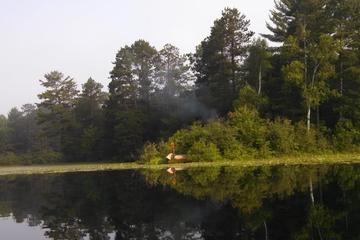 Pet Friendly Northern Highland American Legion State Forest