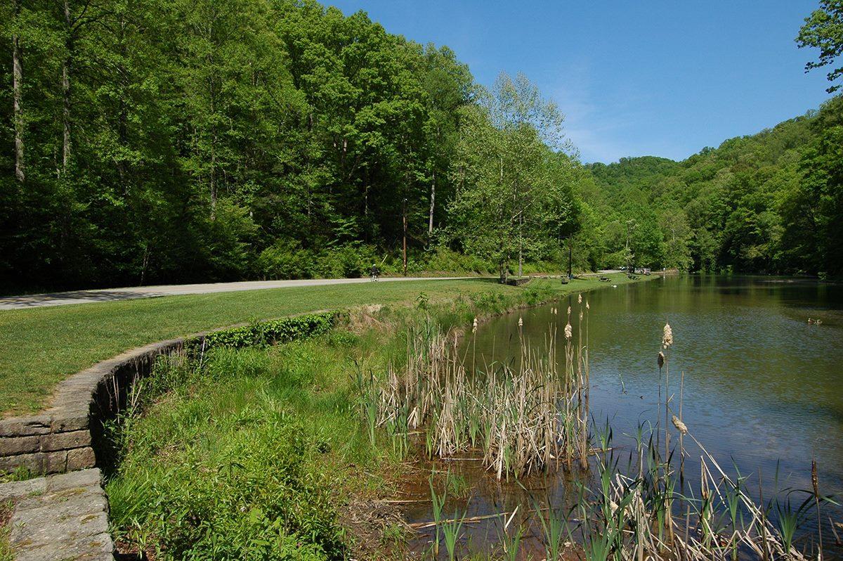 Pet Friendly Kanawha State Forest
