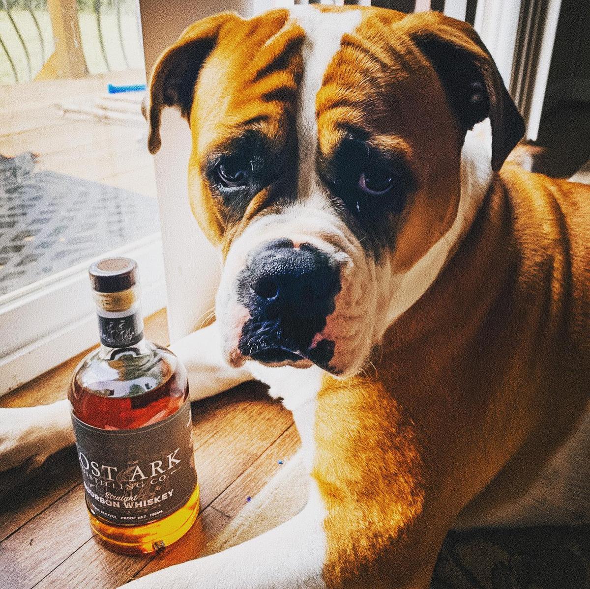 Lost Ark Distilling Company