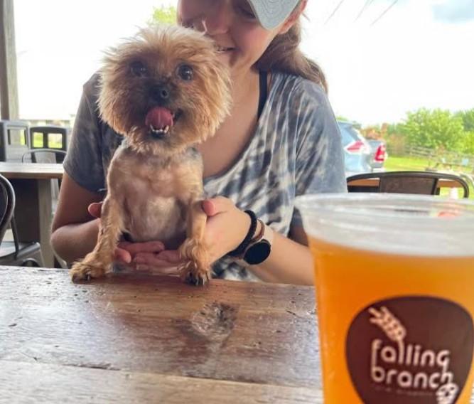 Pet Friendly Beer and Bark
