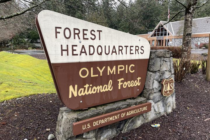 Pet Friendly Olympic National Forest
