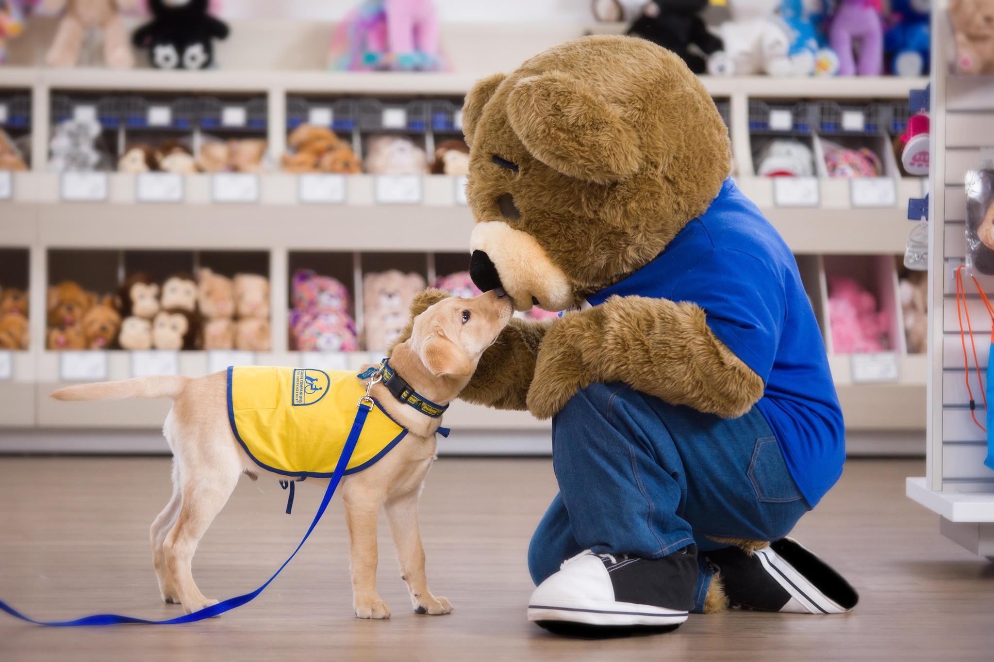 are dogs allowed in build a bear