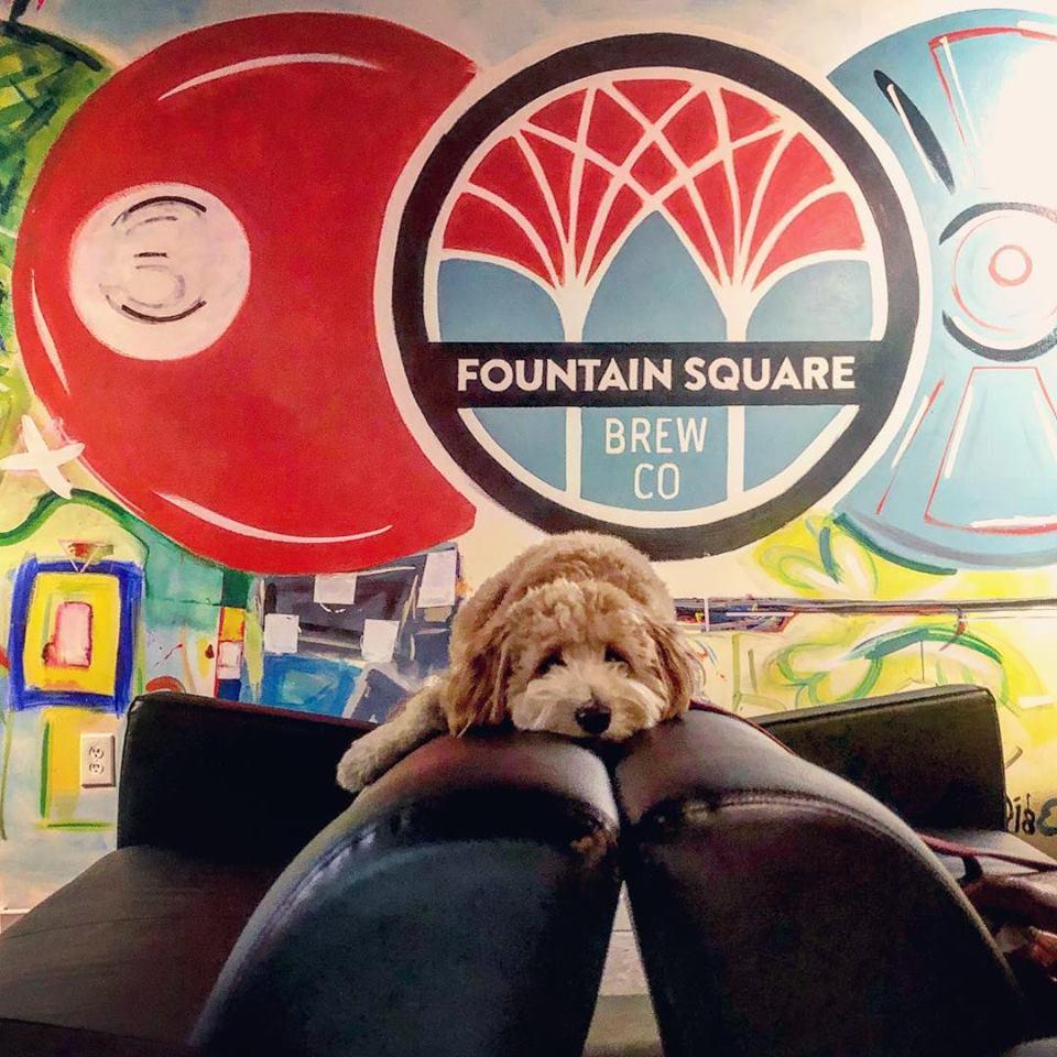 Pet Friendly Fountain Square Brewing Co.