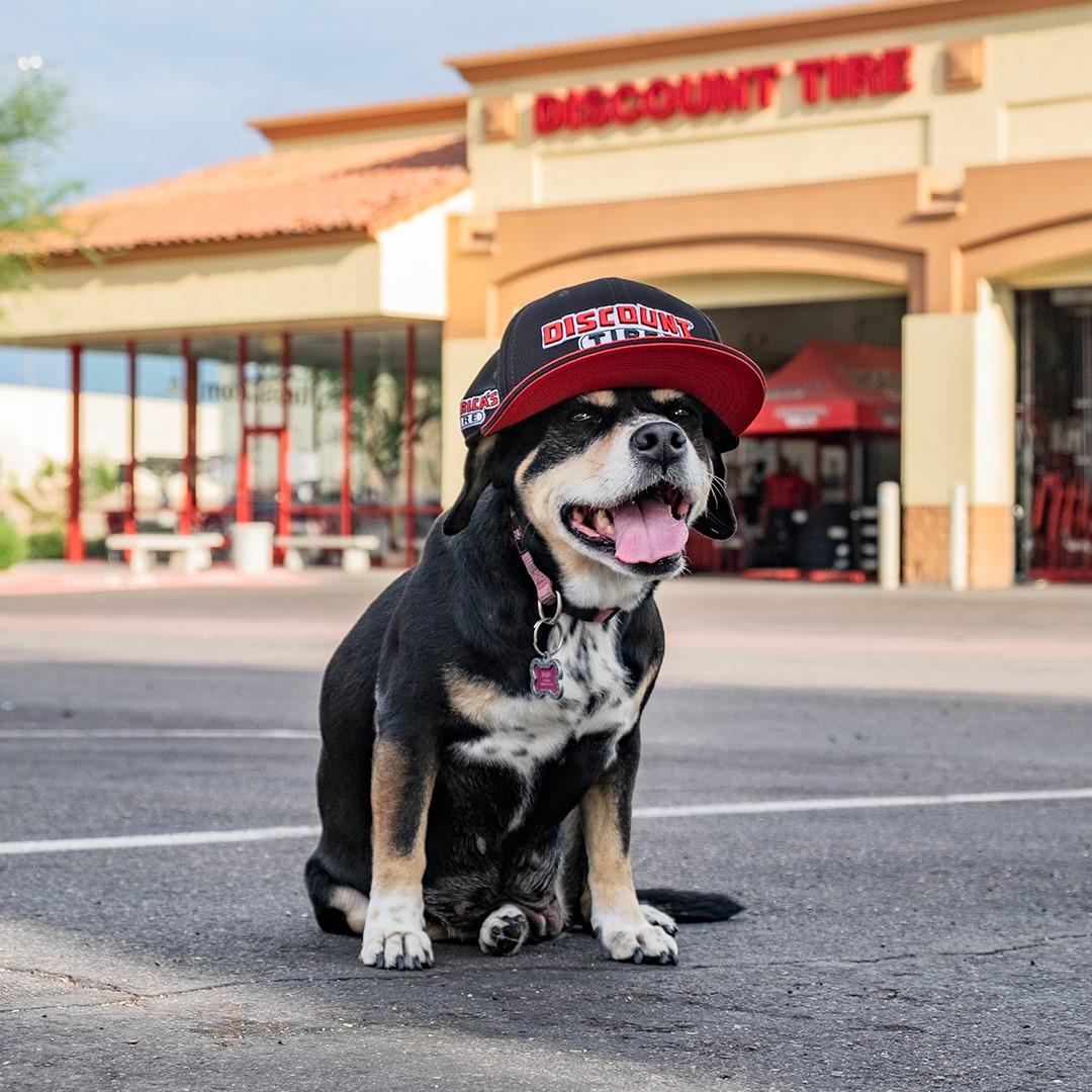 Dog Friendly Shopping in Texarkana TX BringFido