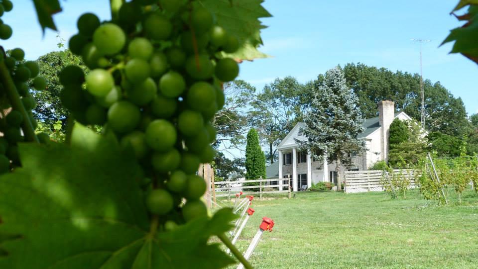 Southwind Vineyard Winery