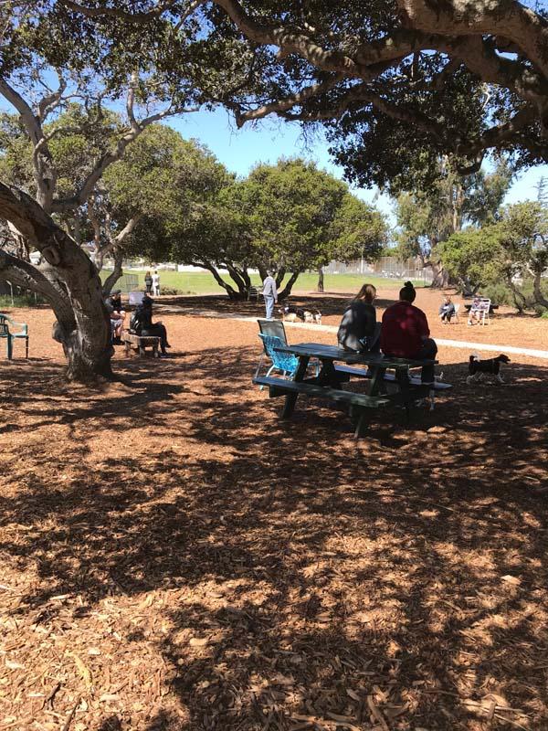 Pacchetti Dog Park Near Me