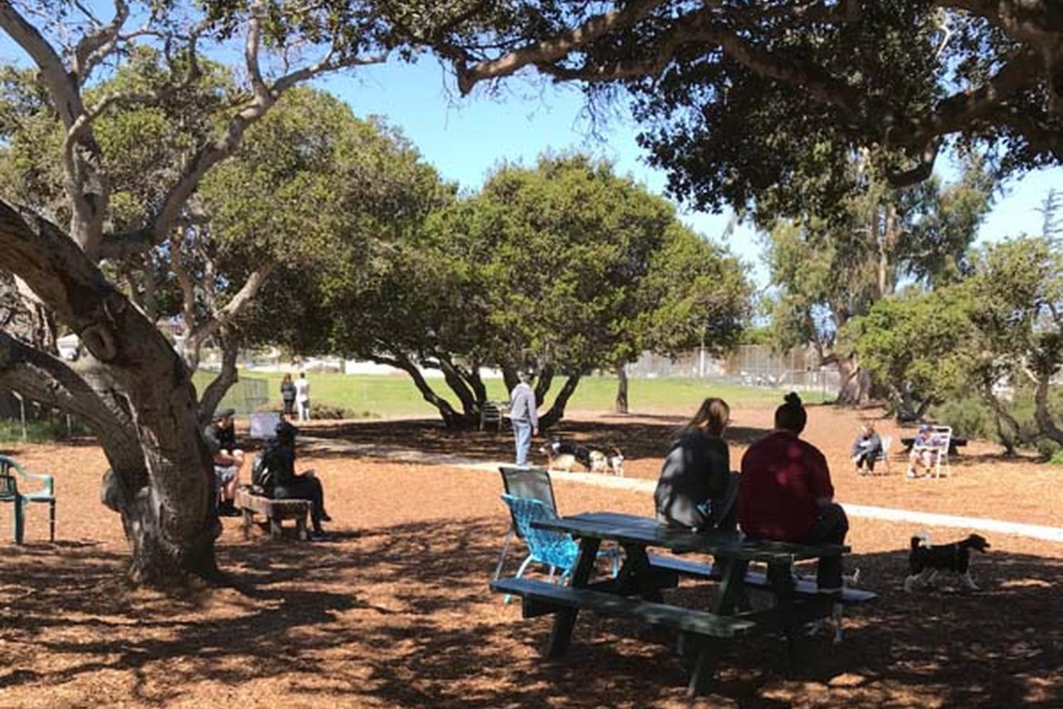Pacchetti Dog Park Near Me
