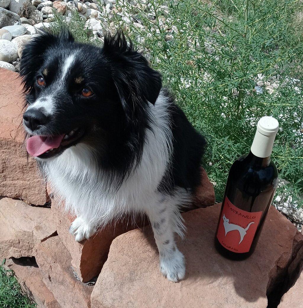 Pet Friendly Whitewater Hill Vineyards