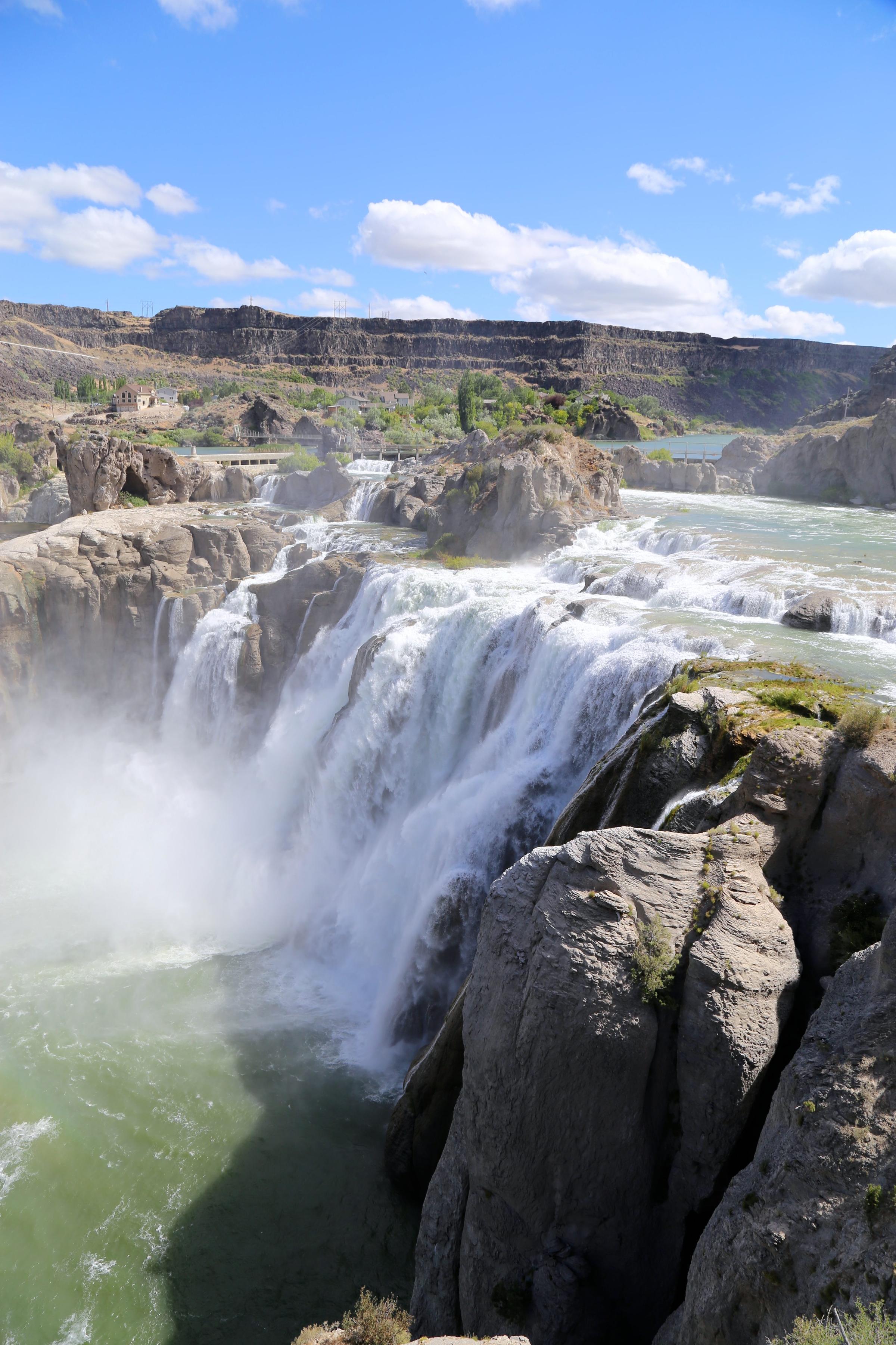 are dogs allowed at shoshone falls