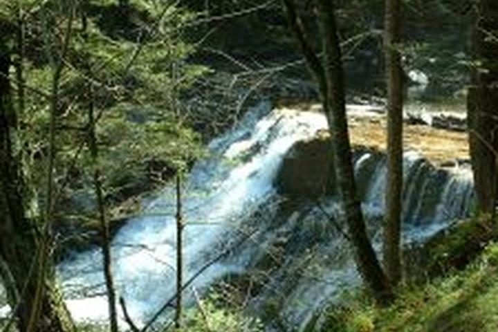 Pet Friendly Housatonic River via Appalachian Trail
