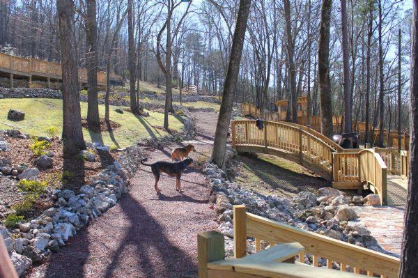 Exercise Equipment for Your Dogs - Cahaba Beach Dog Park