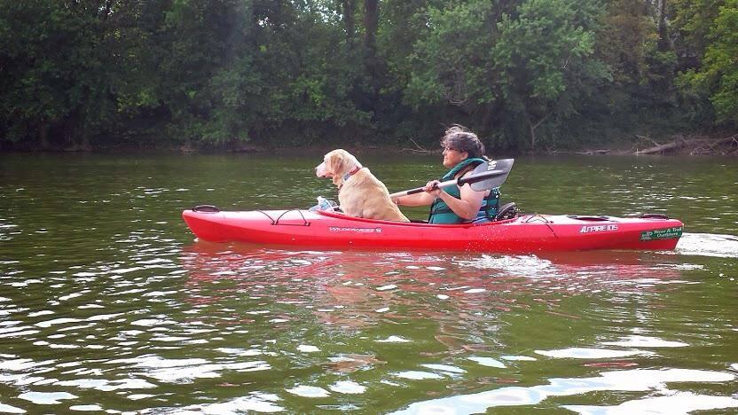 Pet Friendly River & Trail Outfitters