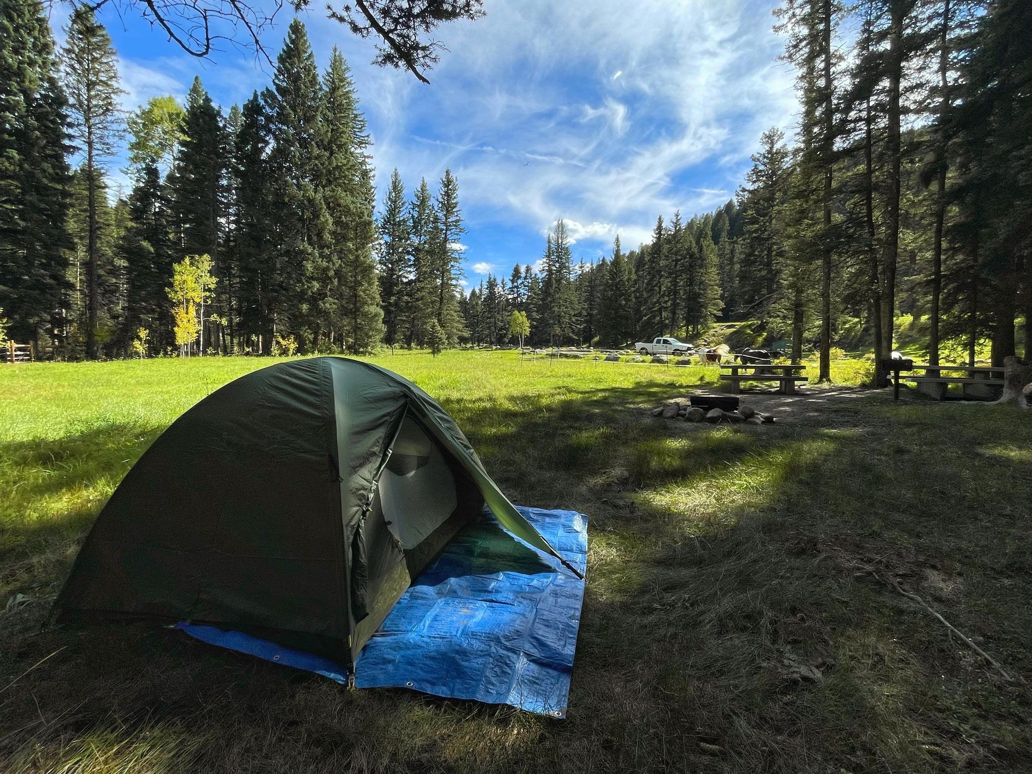Pet Friendly Carson National Forest