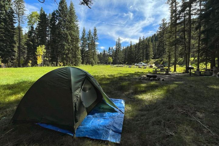 Pet Friendly Carson National Forest