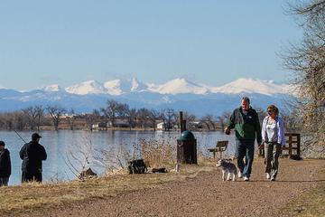 Other Dog Activities In Fort Lupton Co Bringfido