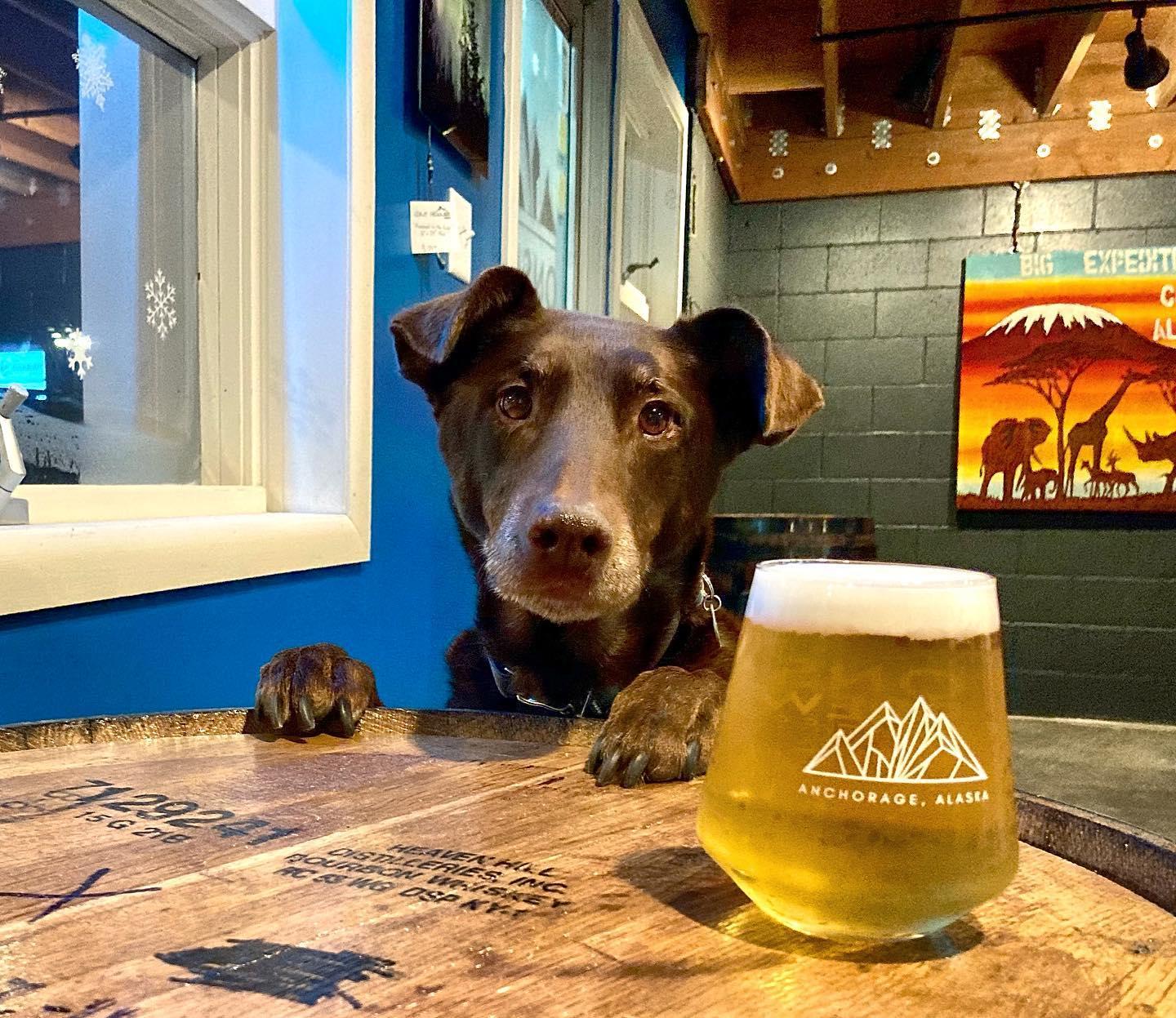 Pet Friendly Onsite Brewing Company