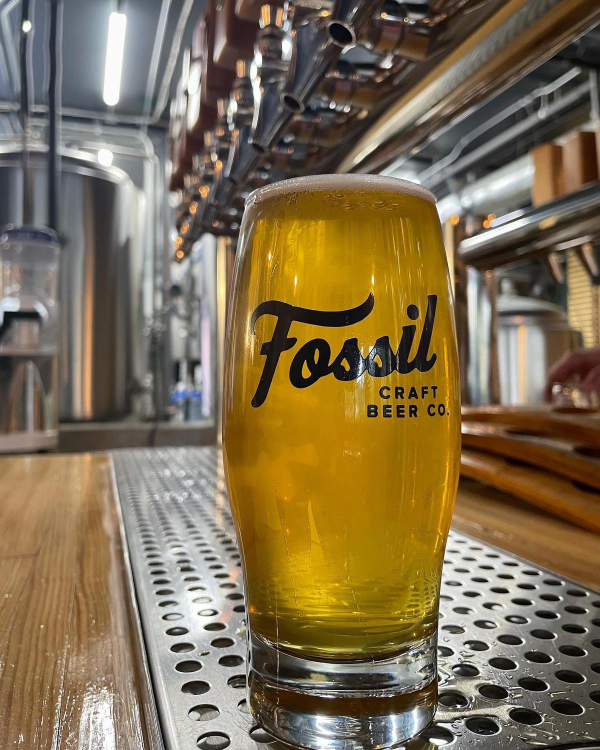 Fossil Craft Beer Company