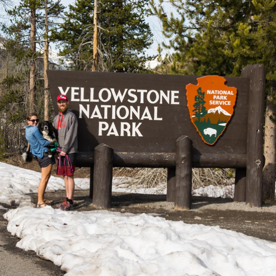 Pet Friendly Yellowstone National Park's West Entrance