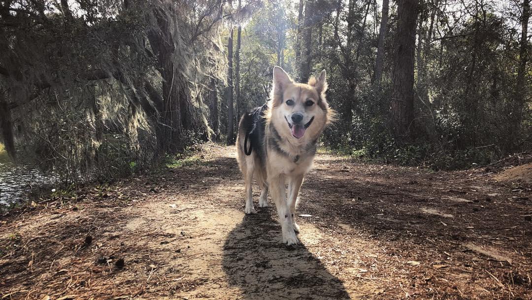 Lafayette Heritage Trail Park
