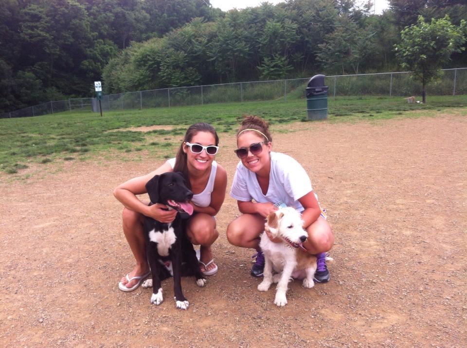 Dog Friendly Activities In Harrisburg Pa Bringfido
