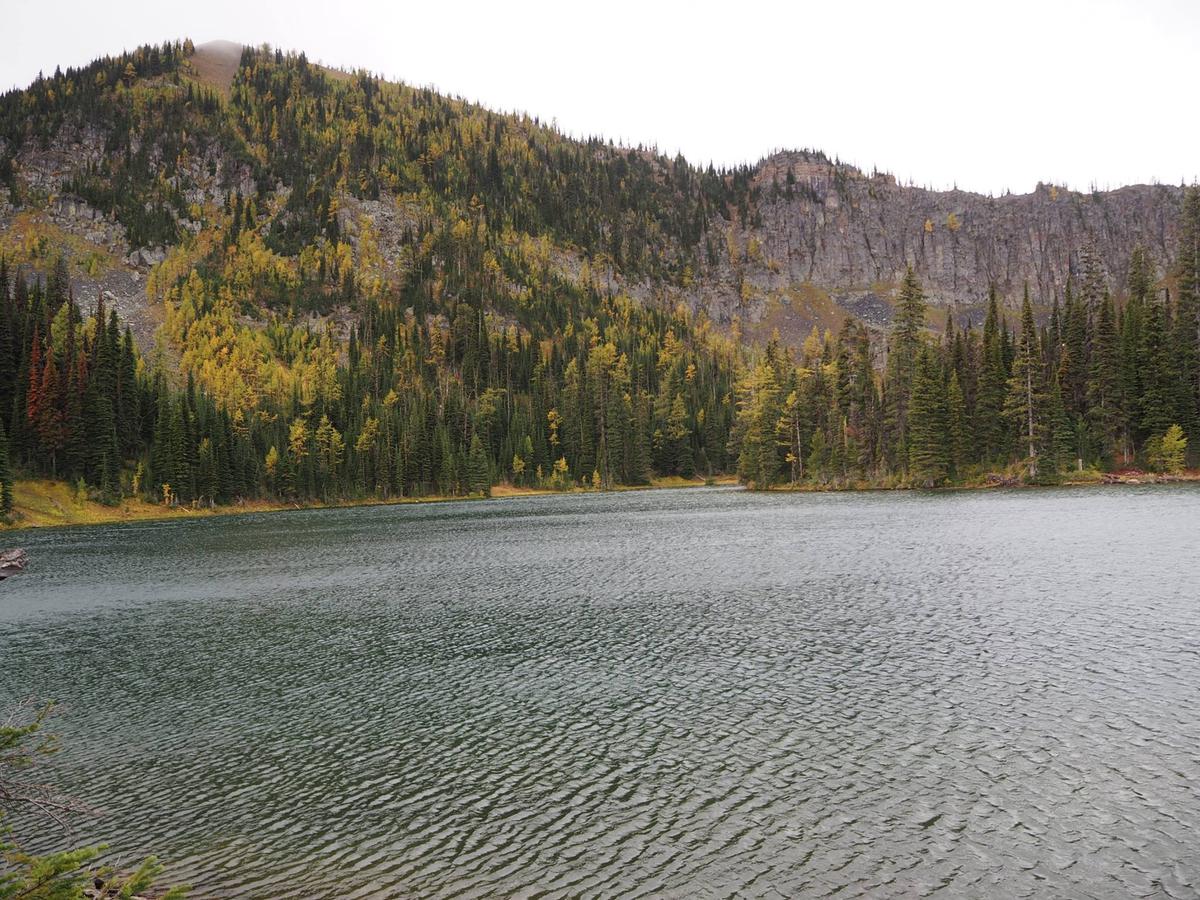 Dog Friendly Hiking Trails In Montana Bringfido