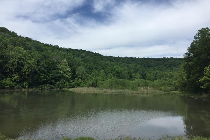 Pet Friendly Harrison-Crawford State Forest