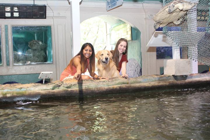 Pet Friendly Key West Aquarium
