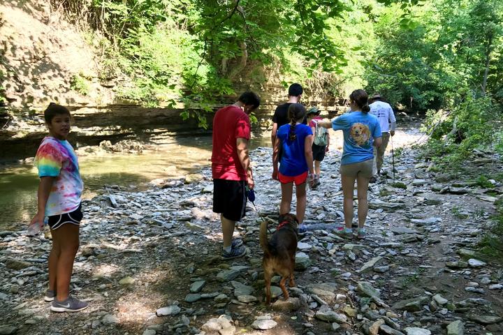 Pet Friendly Clifty Falls State Park