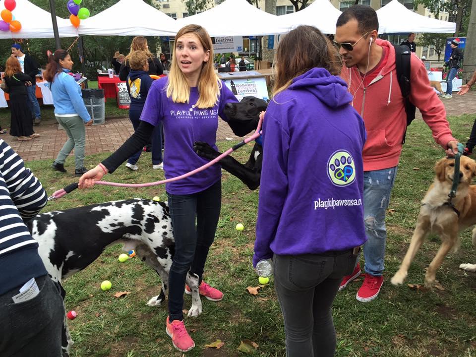 are dogs allowed in delfino park white plains