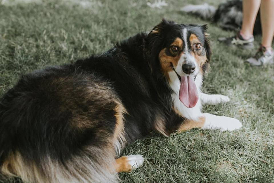Jean Waldstein Playground