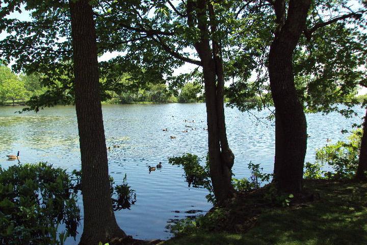 Pet Friendly Dog Run at Wolfe's Pond Park