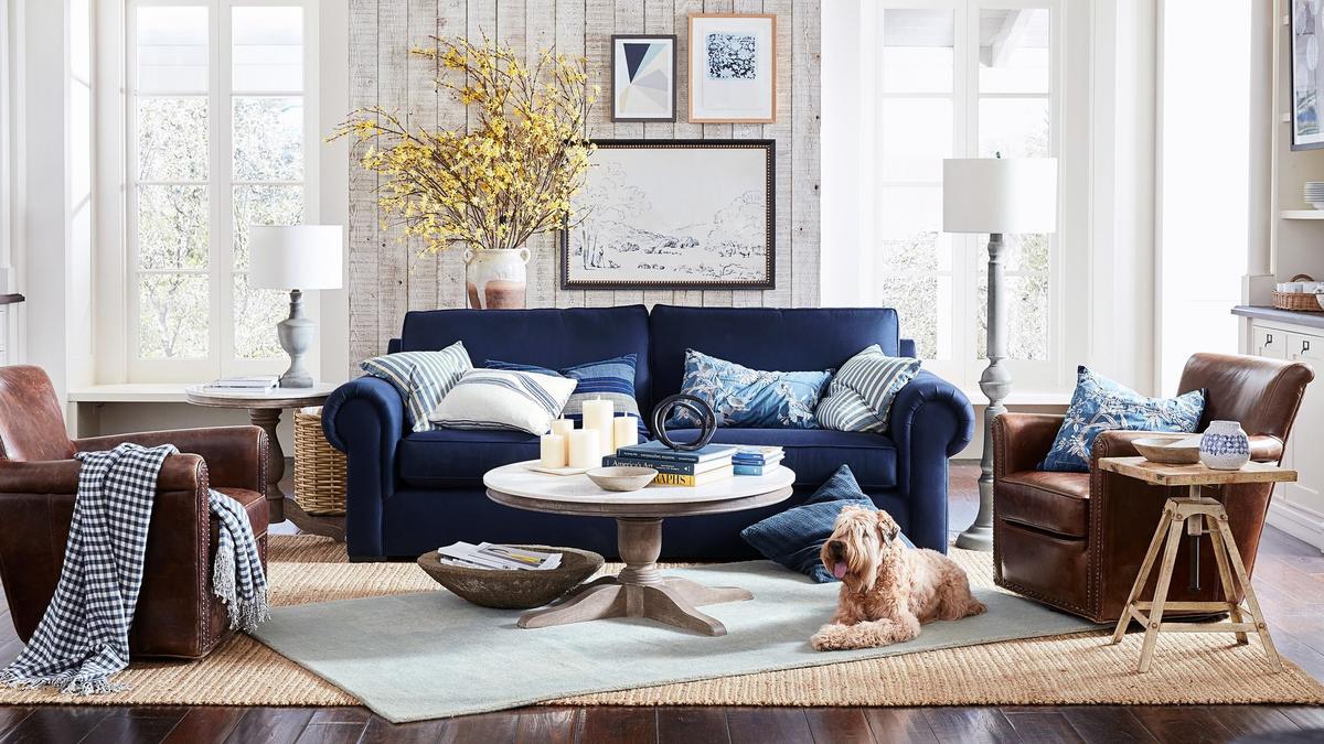 Pottery barn pet discount throw