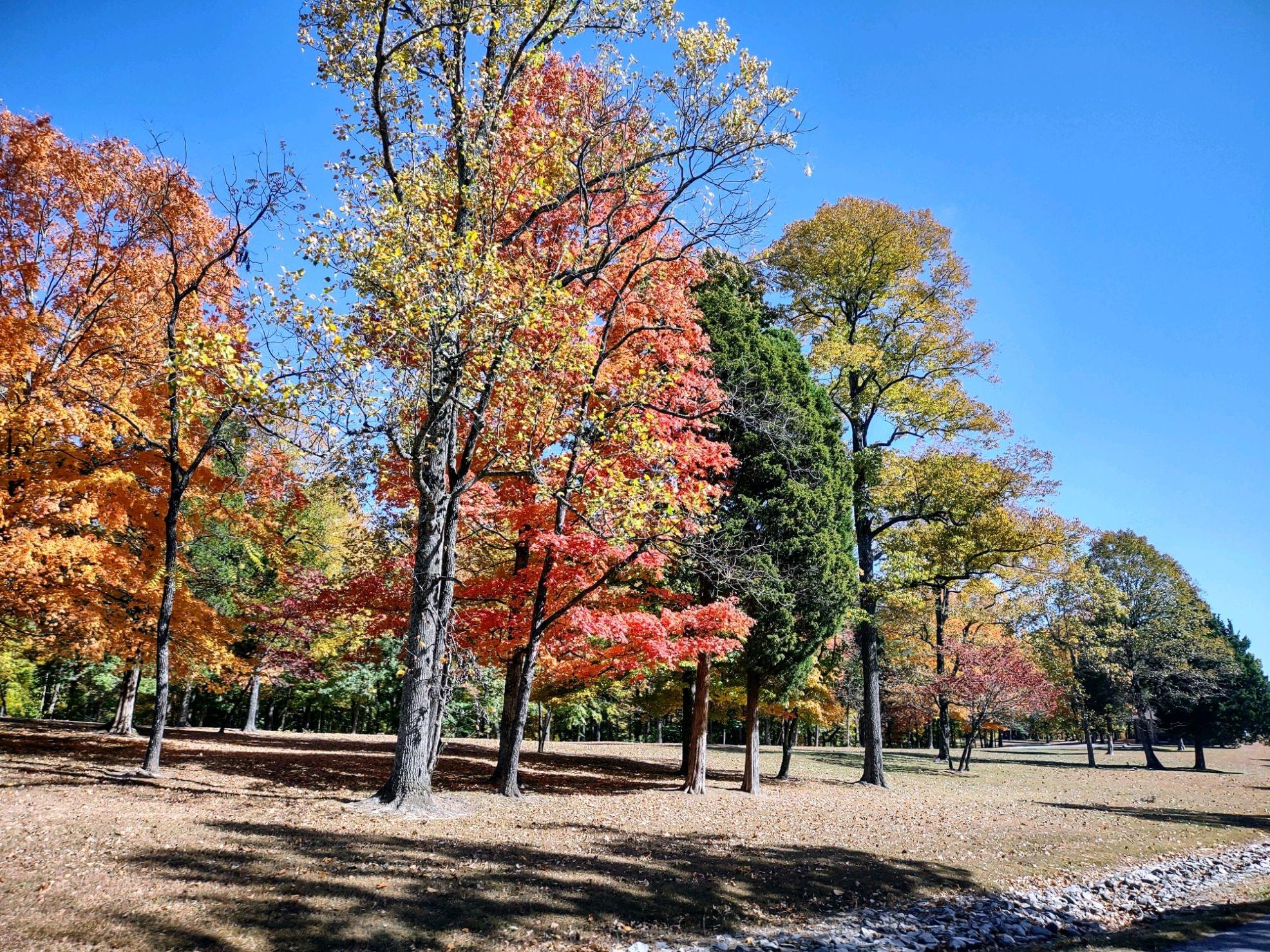O'Bannon Woods State Park